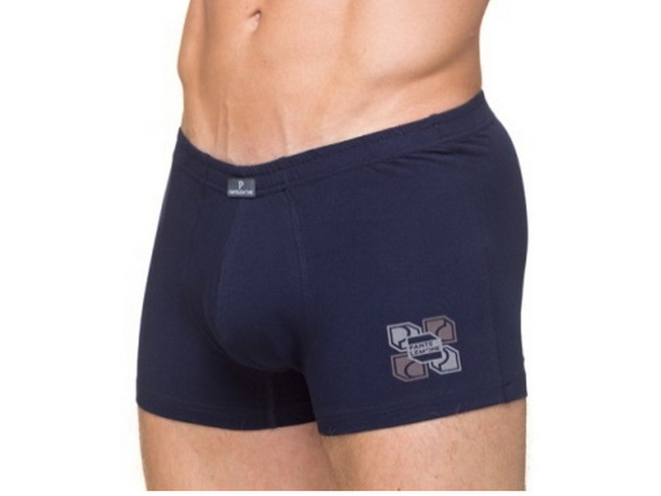 Трусы мужские PMH-1134 / Pantelemone