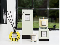 Зеленый инжир и Кедр / Диффузор с палочками 140 мл / StoneGlow