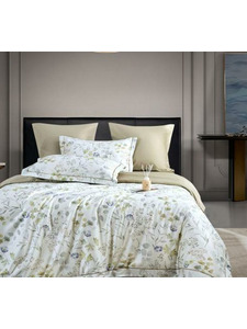 Постельное белье 2181-6 сатин премиум Евро сп / Asabella