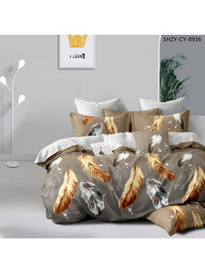 Постельное белье Перья 6275 поплин Евро сп / Butterfly Постельное белье Перья 6275 поплин Евро сп / Butterfly
