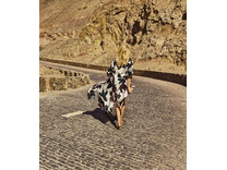 Платье пляжное M3904601 Twilight / Maryan Mehlhnorn