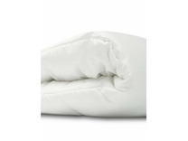 Одеяло EC-5591 Blue Label синететическое волокно 220*240 / Espera