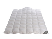 Одеяло Mont blanc GD гусиный пух 200*220 / Johann Hefel