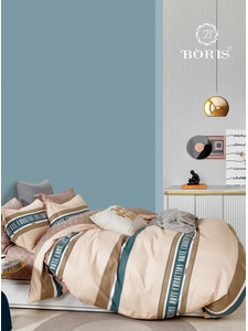 Постельное белье FM 0214 полисатин 2 сп / Boris