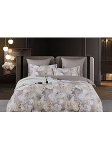 Постельное белье 2109-6 сатин премиум Евро / Asabella