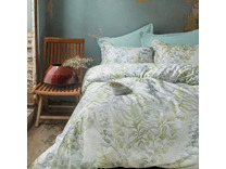 Постельное белье Occale сатин Евро сп / Issimo Home