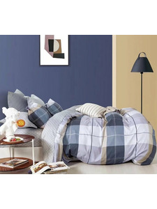 Постельное белье CP6 300 сатин Евро сп / Retrouyt