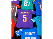 Постельное белье 71102 Трофей перкаль 1,5 сп / Василиса