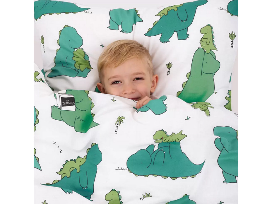 Постельное белье 71216 (17) Дракоша поплин 1,5 сп / Василиса