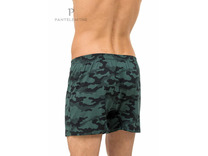 Трусы мужские PMBB-385 / Pantelemone