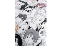 Постельное белье 70903 (17) Manga аниме поплин 1,5 сп / Василиса