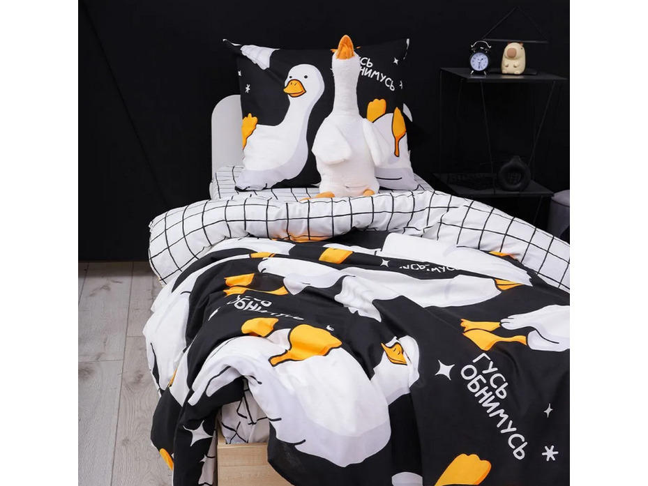 Постельное белье 20216 (24) Погусим бязь 1,5 сп / Василиса