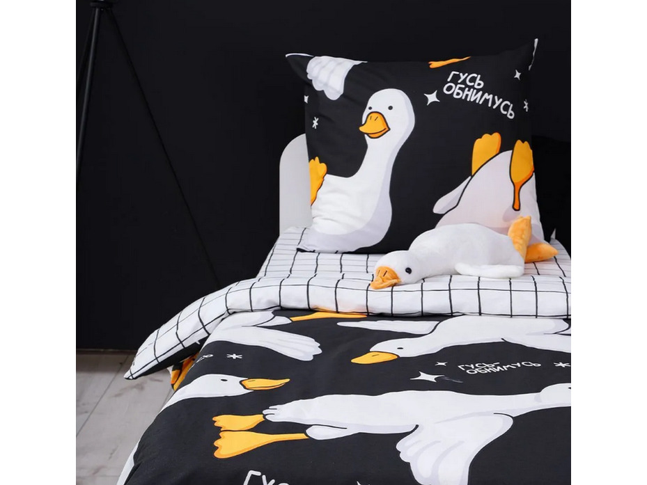 Постельное белье 20216 (24) Погусим бязь 1,5 сп / Василиса