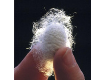 Одеяло Summerdream SD шелковое 200*220 / Johann Hefel Одеяло Summerdream SD шелковое 200*220 / Johann Hefel