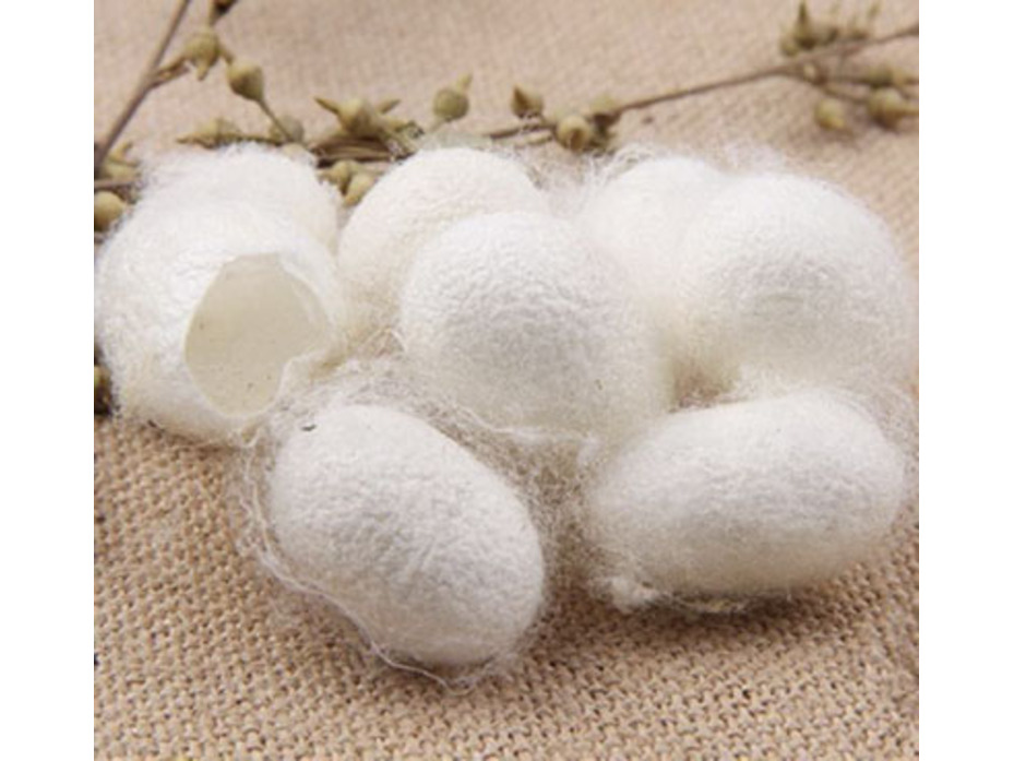 Одеяло Summerdream SD шелковое 200*220 / Johann Hefel Одеяло Summerdream SD шелковое 200*220 / Johann Hefel