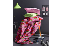 Постельное белье 20125 Арбузер перкаль 1,5 сп / Василиса