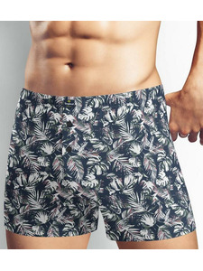 Трусы мужские МВХ525111 / Clever