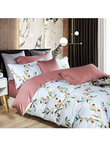 Постельное белье 1442-6 сатин премиум Евро / Asabella