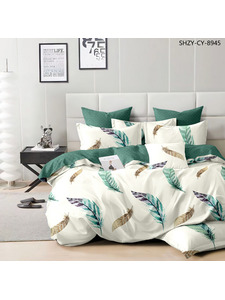 Постельное белье Перья 6276 поплин Евро сп / Butterfly Постельное белье Перья 6276 поплин Евро сп / Butterfly