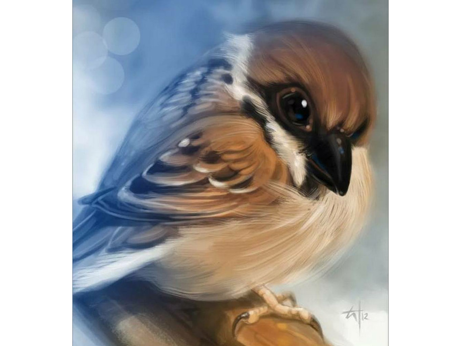 Наволочка декоративная Ассорти микрофибра 45*45 / Garden Наволочка декоративная Ассорти микрофибра 45*45 / Garden