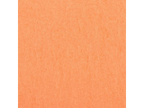 Плед 7584261 коралловый флисовый 150*180 / Экономь и Я Плед 7584261 коралловый флисовый 150*180 / Экономь и Я