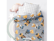 Постельное белье 500309 (24) Тедди поплин 1,5 сп / Василиса