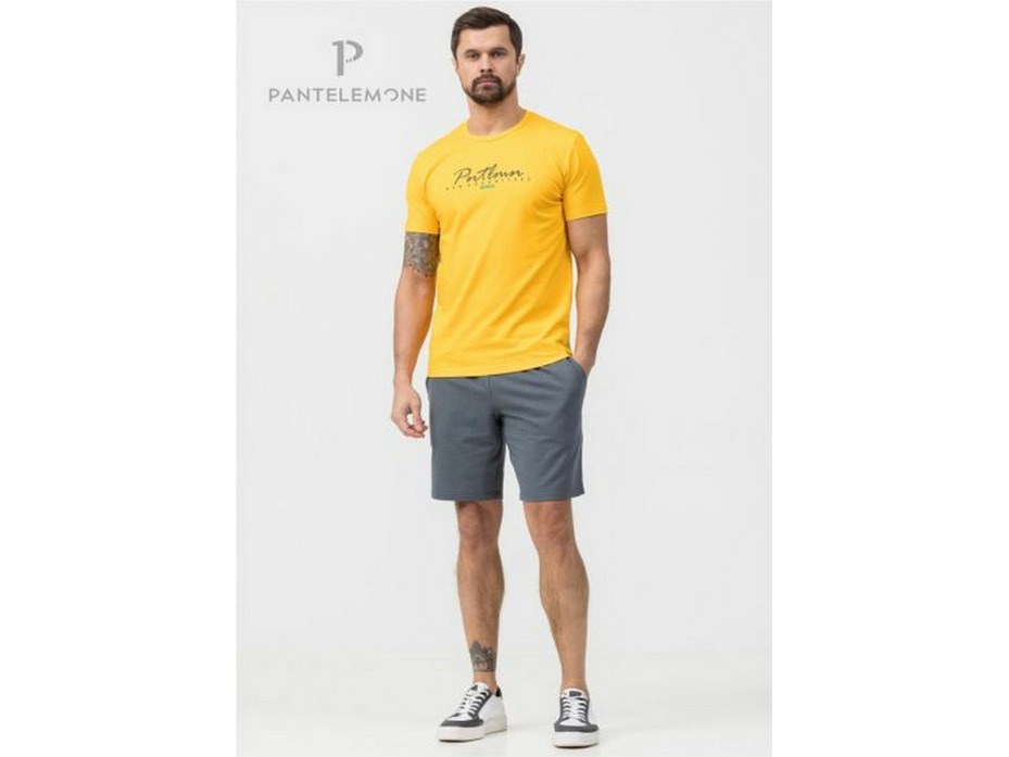 Шорты мужские PH-229 / Pantelemone