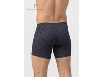 Трусы мужские PMHL-1433 / Pantelemone
