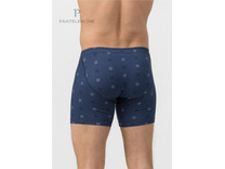 Трусы мужские PMHl-1454 / Pantelemone