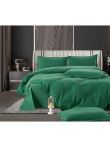 Постельное белье 04 сатин бархатный Евро сп / Boris