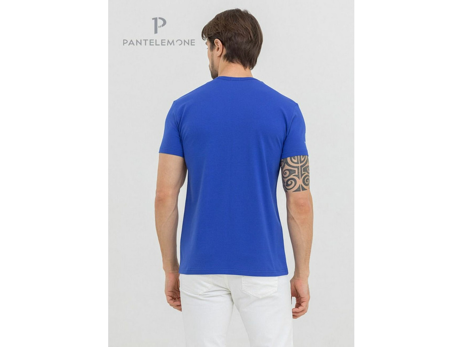 Футболка мужская MF-948 / Pantelemone