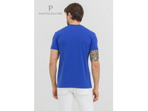 Футболка мужская MF-948 / Pantelemone