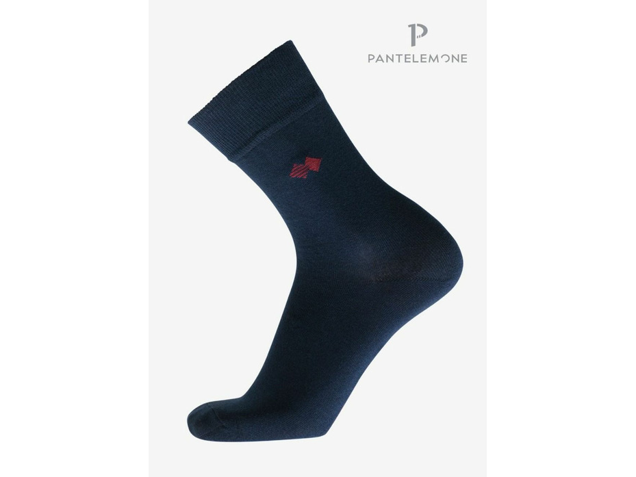 Носки мужские PN-122 / Pantelemone