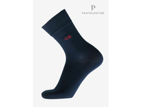 Носки мужские PN-122 / Pantelemone