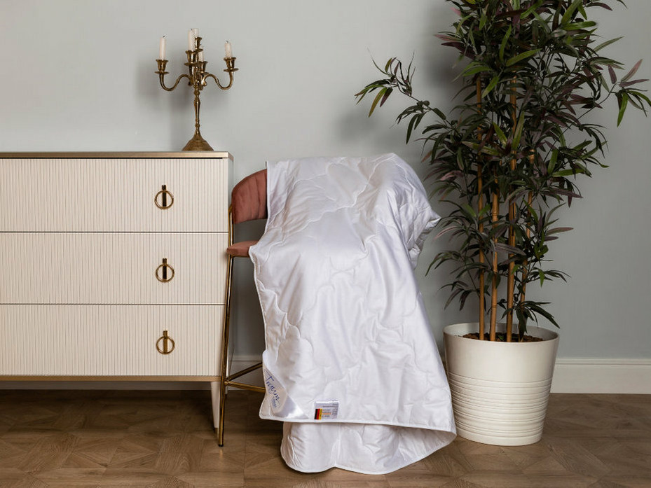 Одеяло 554302-24 натуральный шелк 200*220 / Bohmerwald