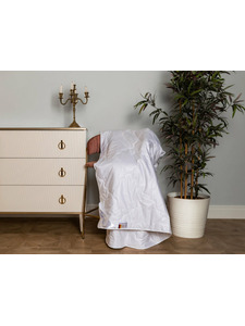 Одеяло 554302-24 натуральный шелк 200*220 / Bohmerwald