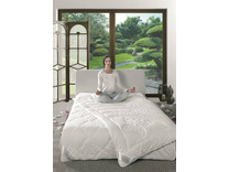 Одеяло 554302-24 натуральный шелк 200*220 / Bohmerwald