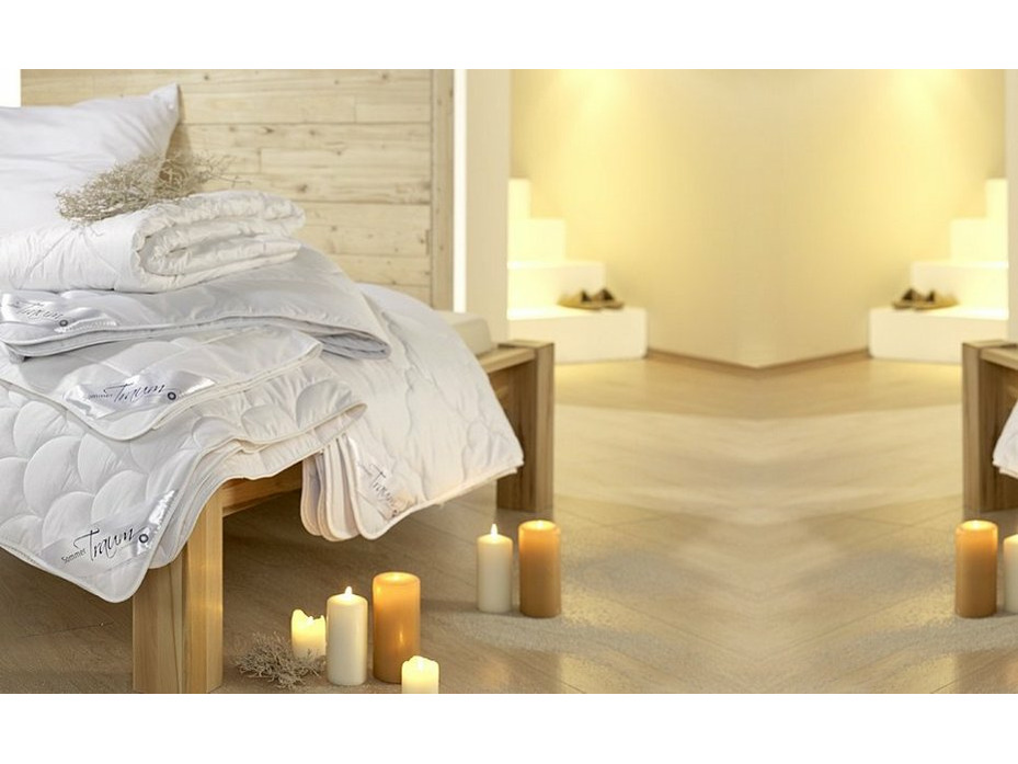 Одеяло 554302-24 натуральный шелк 200*220 / Bohmerwald