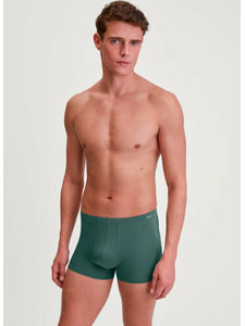 Трусы мужские 26618 Balanced day / Calida