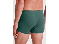 Трусы мужские 26618 Balanced day / Calida