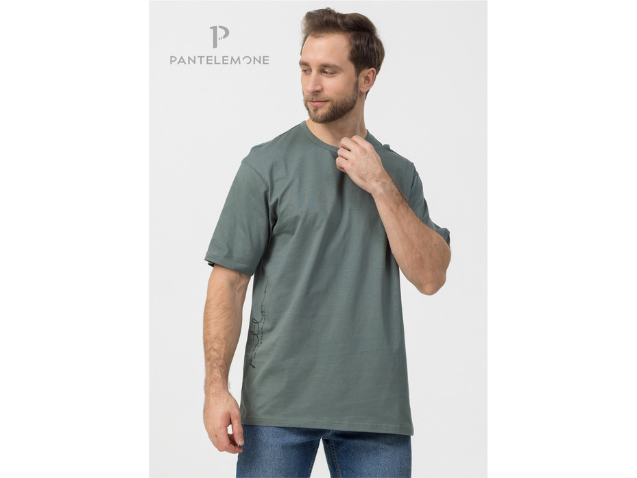 Футболка мужская MFB-1091 / Pantelemone