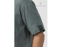 Футболка мужская MFB-1091 / Pantelemone