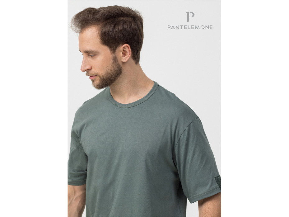 Футболка мужская MFB-1091 / Pantelemone