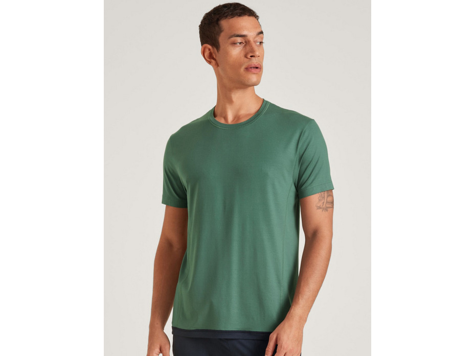 Футболка мужская 14283 (549) Dsw Balancing / Calida