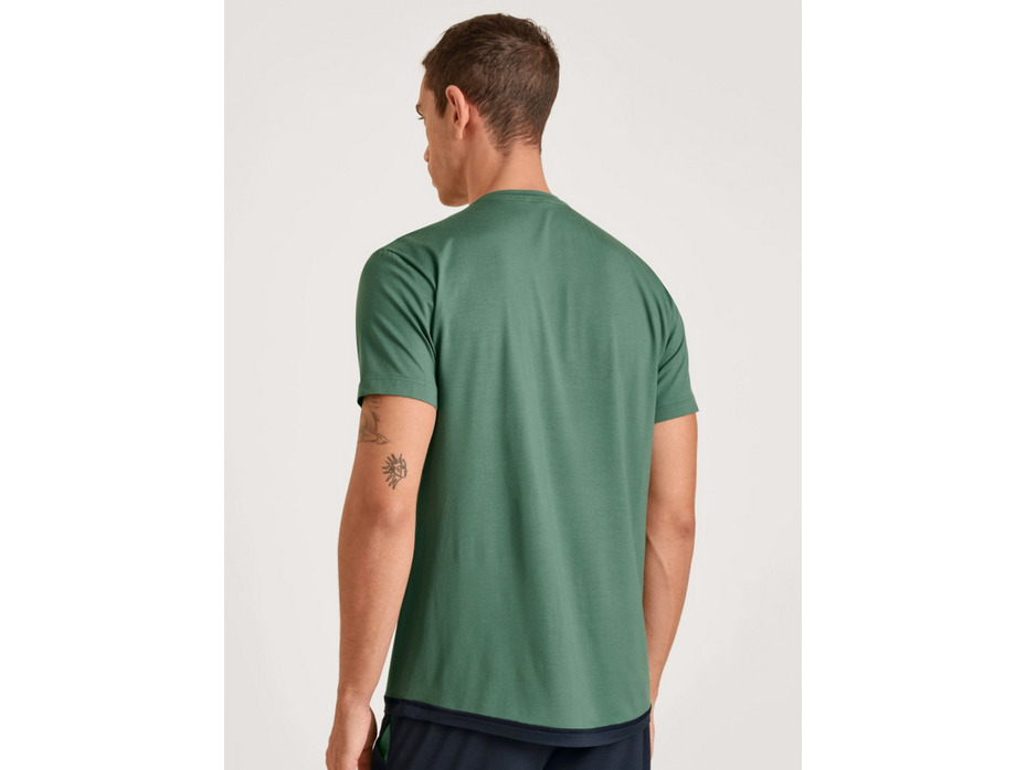 Футболка мужская 14283 (549) Dsw Balancing / Calida