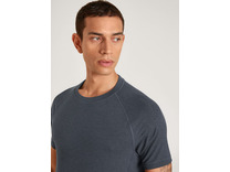 Футболка мужская 14588 (989) Dsw Warming / Calida