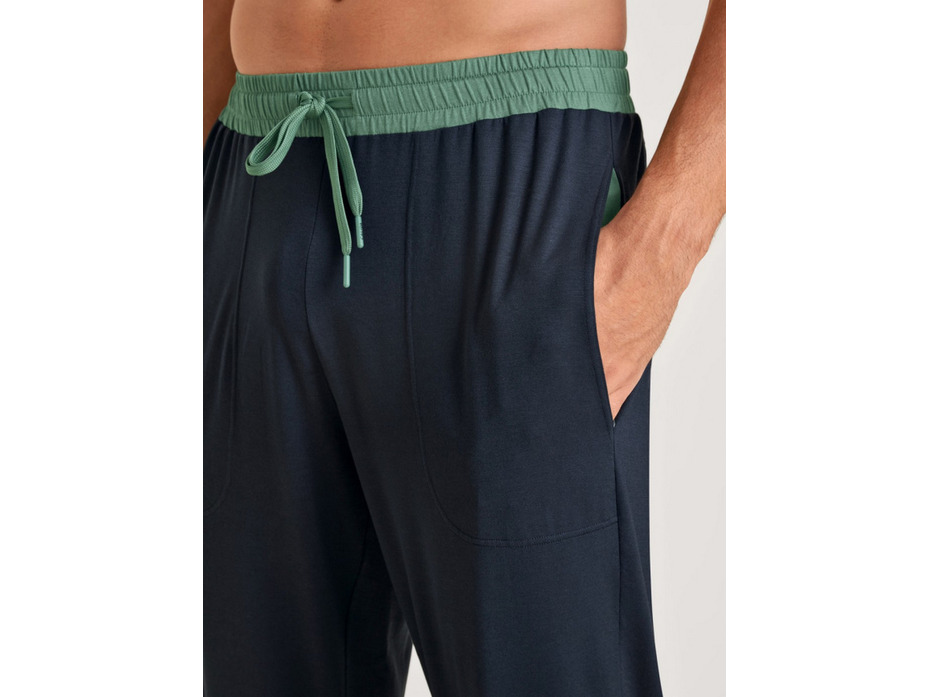 Брюки мужские 29883 (479) Dsw Balancing / Calida