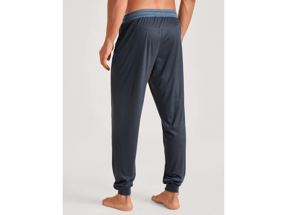 Брюки мужские 29982 (989) Dsw Coling / Calida