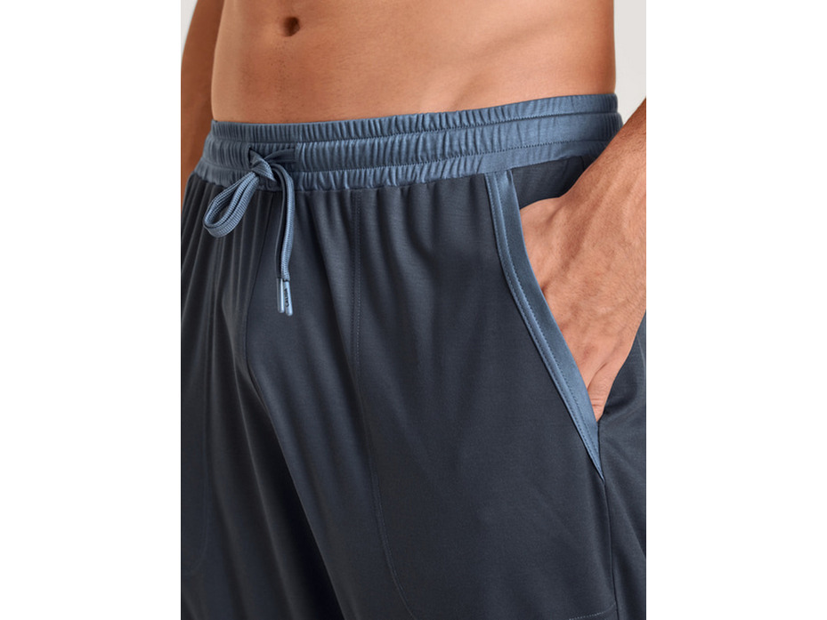 Брюки мужские 29982 (989) Dsw Coling / Calida