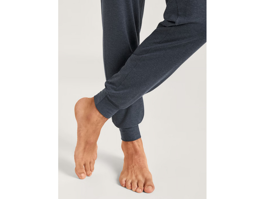 Брюки мужские 29988 (989) Dsw Warming / Calida